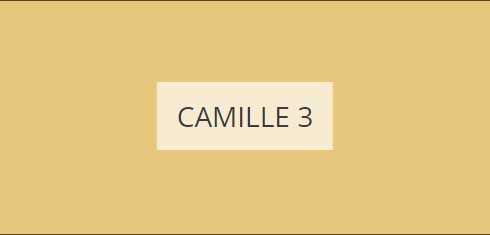 camille-3-imagine