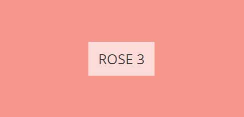 rose-3-imagine