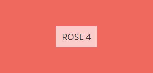 rose-4-imagine