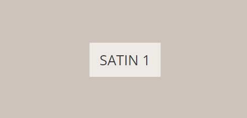 satin-1-imagine